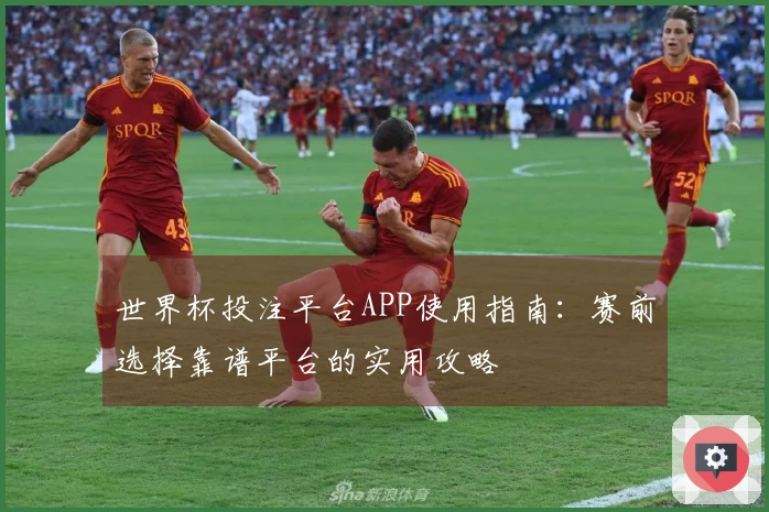 世界杯投注平台APP使用指南：赛前选择靠谱平台的实用攻略