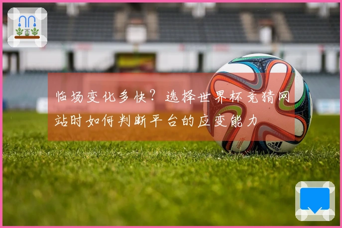 临场变化多快？选择世界杯竞猜网站时如何判断平台的应变能力