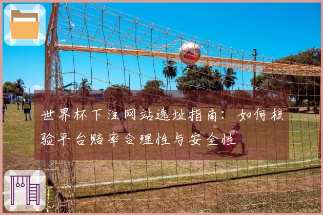 世界杯下注网站选址指南：如何核验平台赔率合理性与安全性