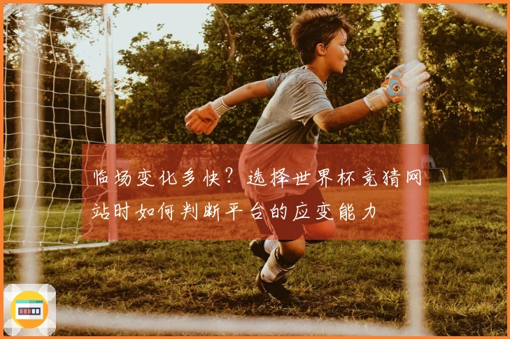 临场变化多快？选择世界杯竞猜网站时如何判断平台的应变能力